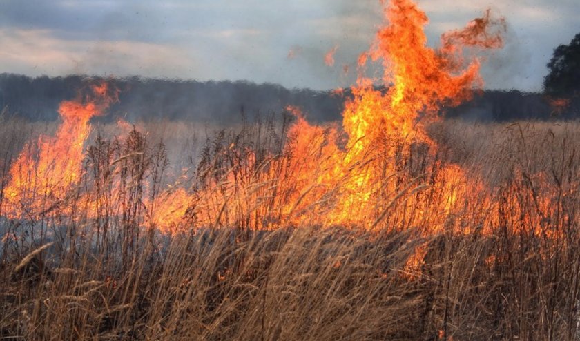 Пожар върлува до голф игрището на Йордан Каназирев