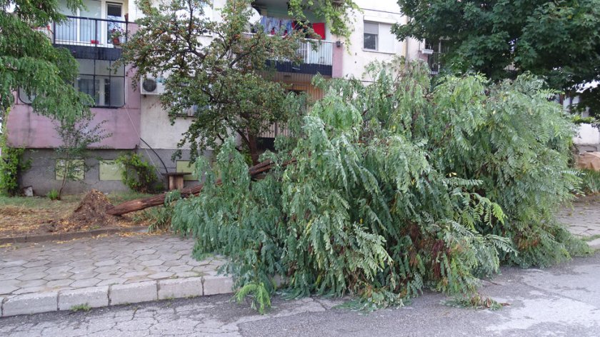 Силна буря потроши коли в Благоевград