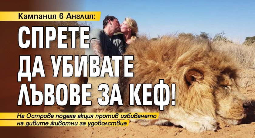 Кампания в Англия: Спрете да убивате лъвове за кеф!