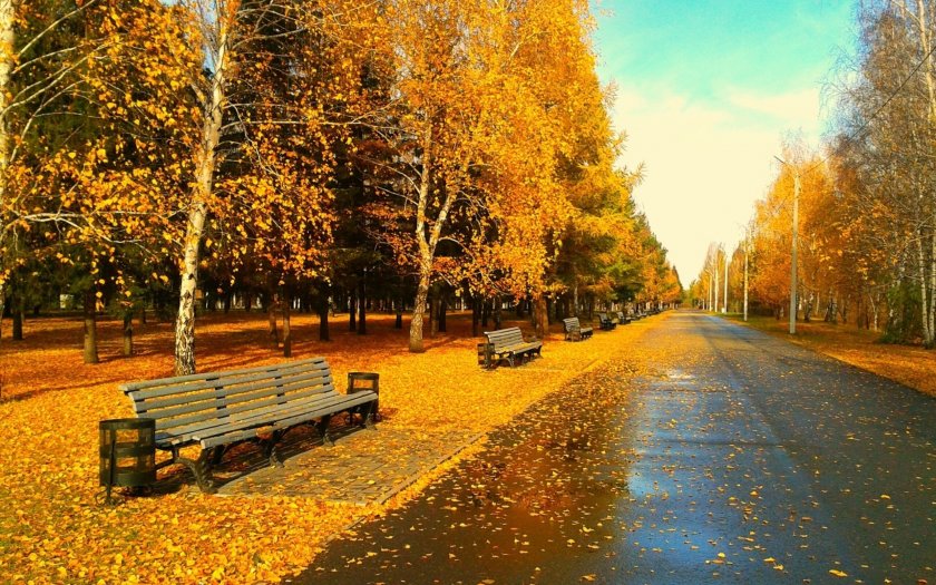 Днес ни чака топъл и слънчев октомврийски ден