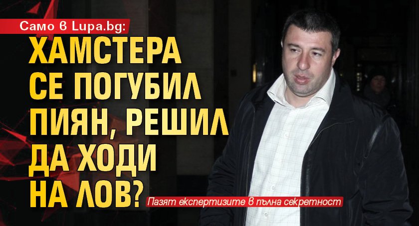Само в Lupa.bg: Хамстера се погубил пиян, решил да ходи на лов?