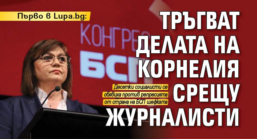 Първо в Lupa.bg: Тръгват делата на Корнелия срещу журналисти