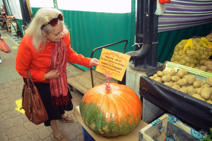 Гигантска тиква на пазара в Бургас (СНИМКИ)