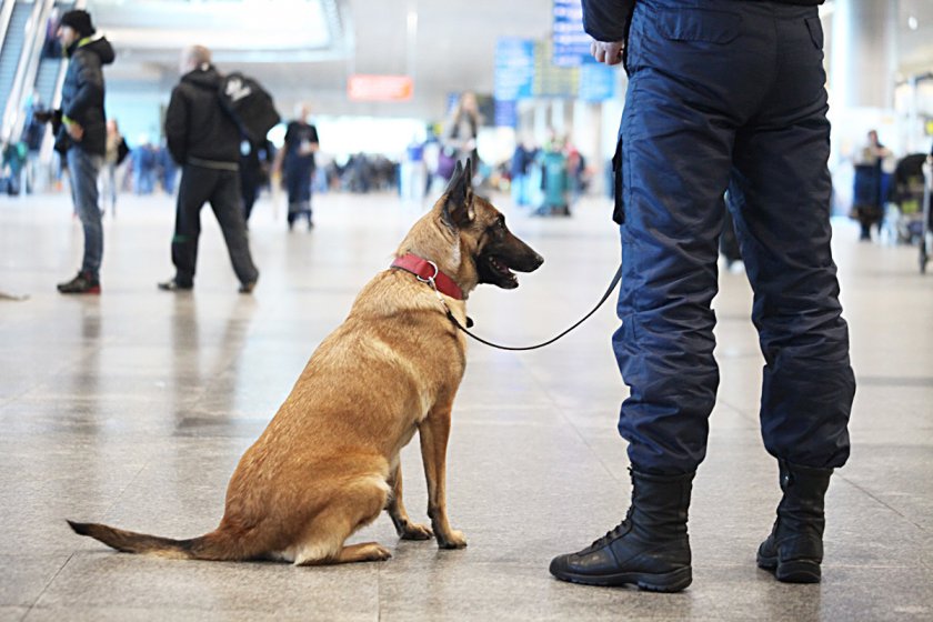 Топ агенти: Полицейски кучета разкриха 150 престъпления