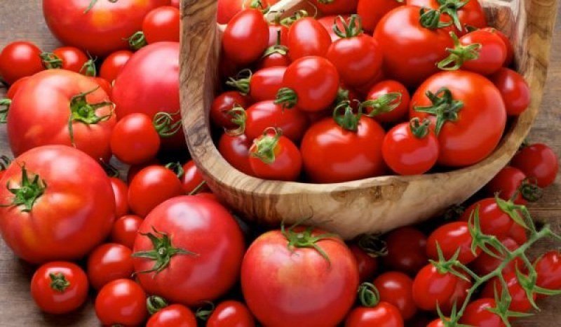 Оставаме без родни домати?