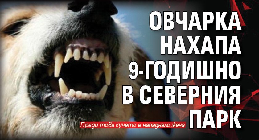 Овчарка нахапа 9-годишно в Северния парк 