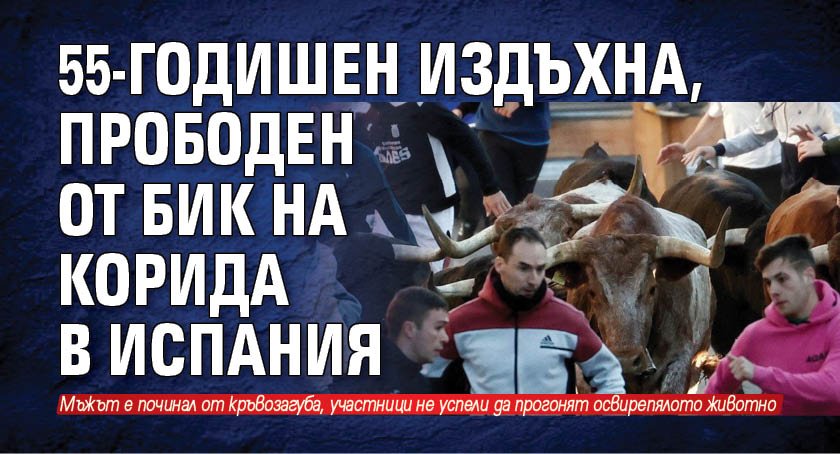 55-годишен издъхна, прободен от бик на корида в Испания 