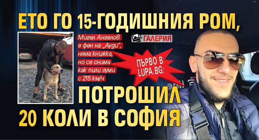 Първо в Lupa.bg: Ето го 15-годишния ром, потрошил 20 коли в София (ГАЛЕРИЯ)