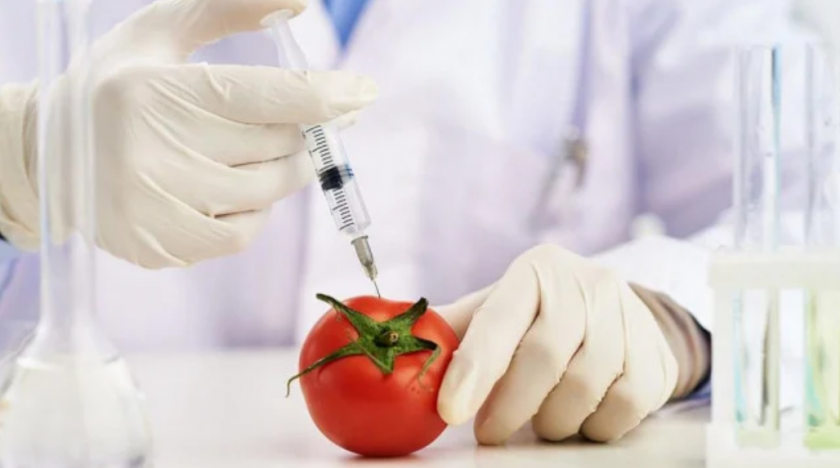 Създадоха ваксина срещу COVID-19 под формата на домати