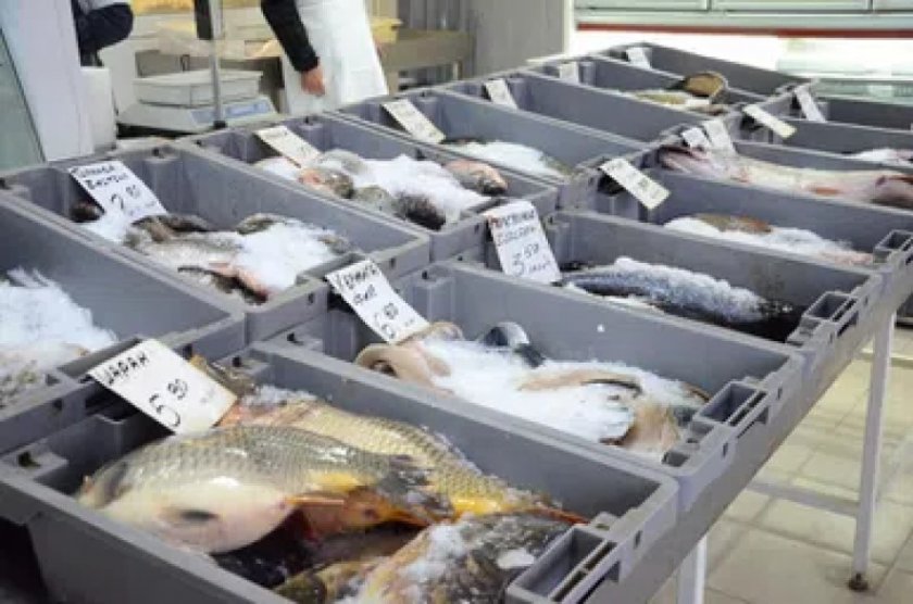 Между 1 000 и 2 000 лв. е глобата за нелегална продажба на риба