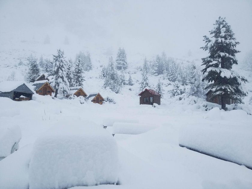 Снегът скова, вижте актуалната обстановка