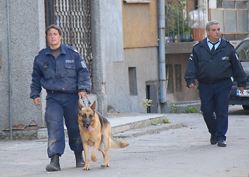 Проучване: Битовата престъпност е най-голяма в Монтана, Враца, Варна, София, Бургас