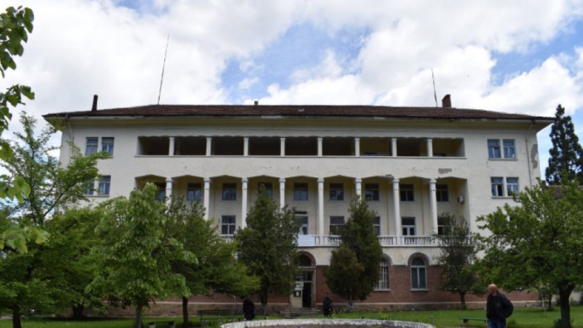 Браво: Перничанка уши пердета за болница