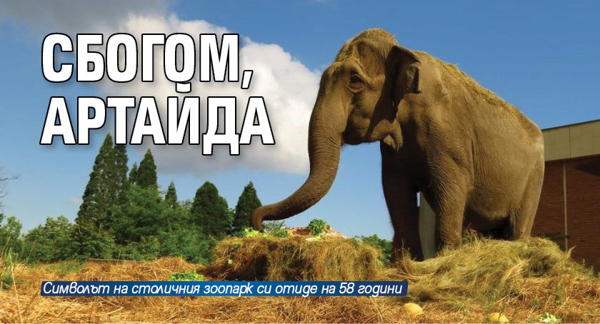 Сбогом, Артайда 