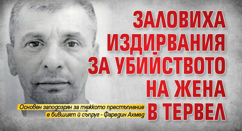 Заловиха издирвания за убийството на жена в Тервел