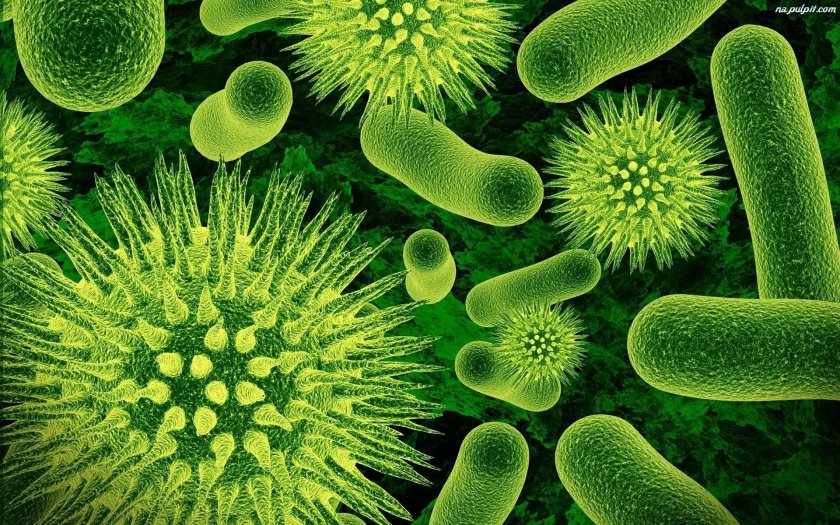 Супербактерии атакуват Европа, антибиотиците не помагат