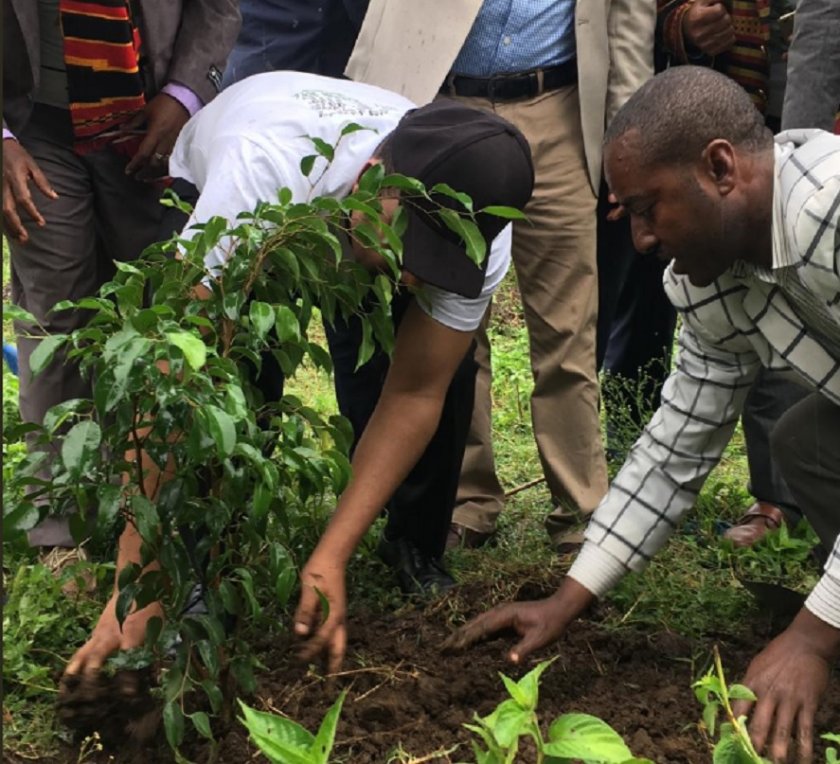 Етиопия засади 200 млн. дървета за един ден