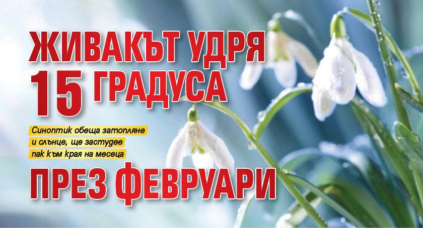 Живакът удря 15 градуса през февруари 