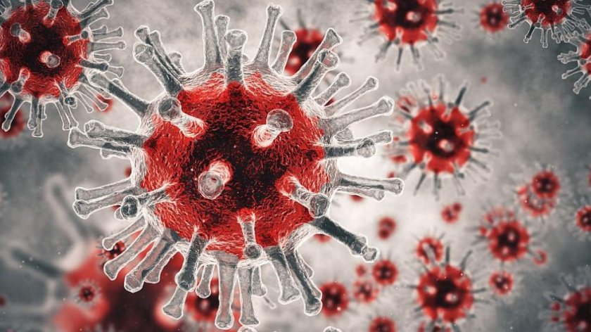 Хората, преболедували коронавируса, може да имат антитела до двадесет месеца.