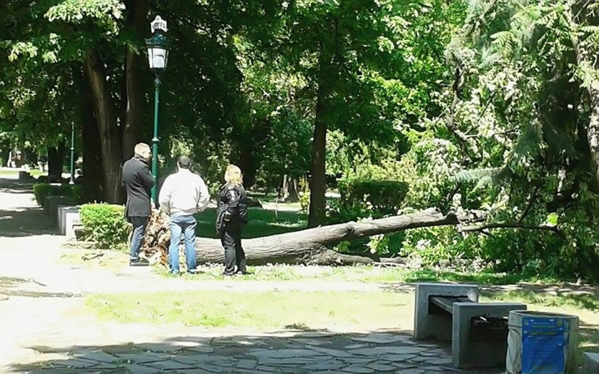 Бурният варненски вятър отнесе пенсията на възрастна жена. Силните пориви