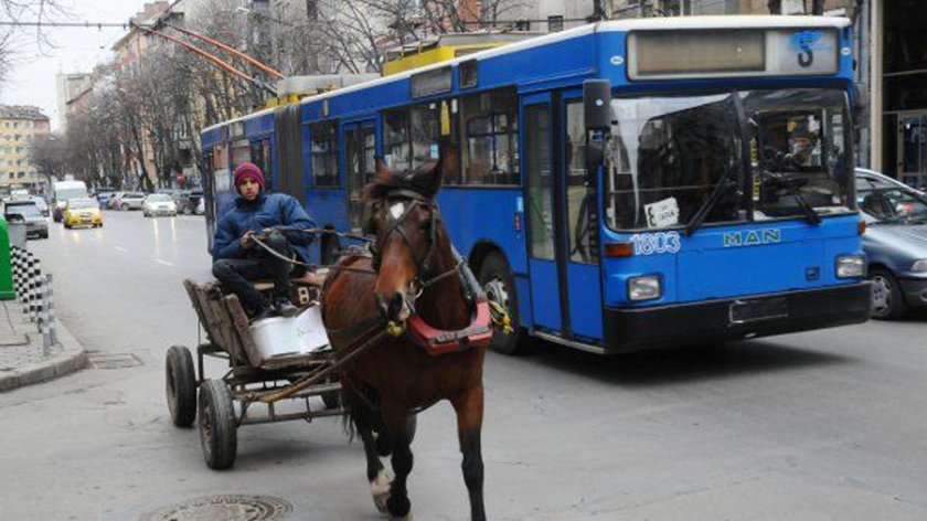 Гласуват забрана за движение на каруци в София