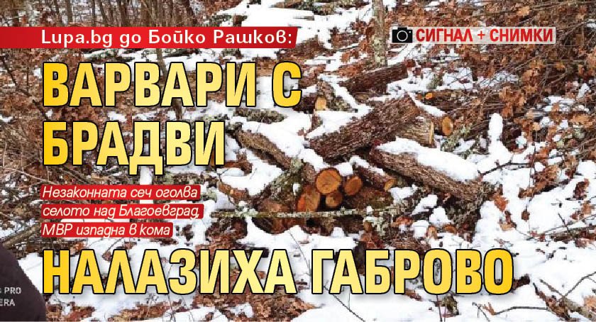 Lupa.bg до Бойко Рашков: Варвари с брадви налазиха Габрово (СИГНАЛ + СНИМКИ)