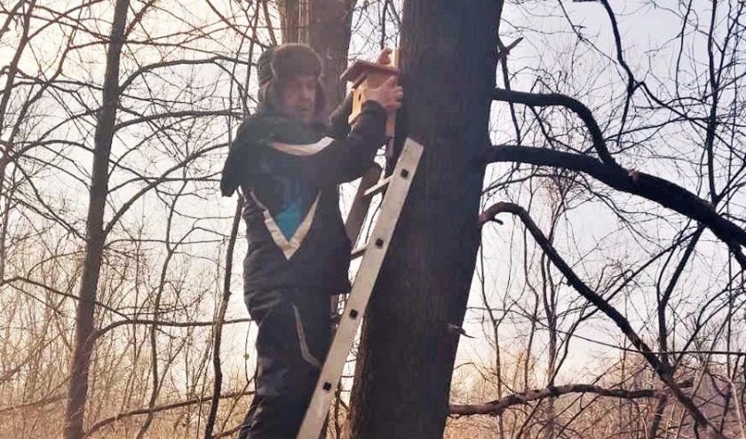 Поставят къщички за птици в Южния парк в София
