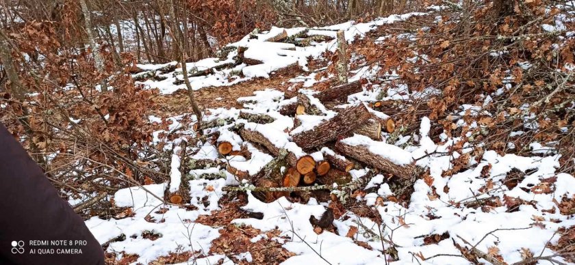 На вниманието на вътрешния министър Бойко Рашков - варвари с