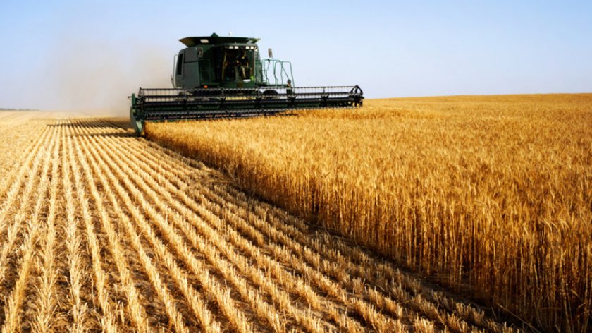 Страхът от война покачи още цените на пшеницата, соята и палмовото масло