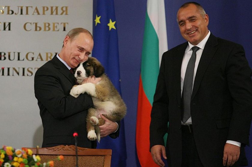Бойко, вземи си кучето от Путин!