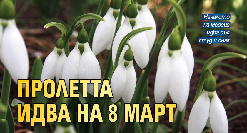 Пролетта идва на 8 март