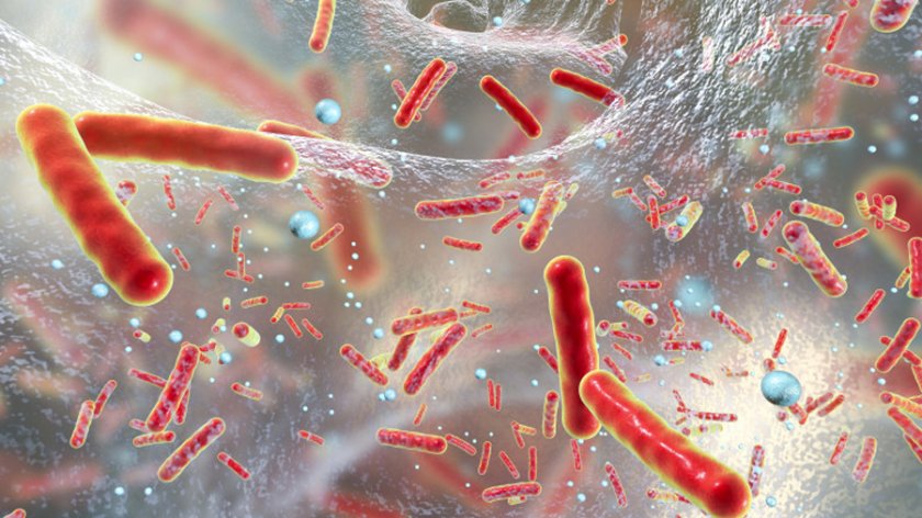 Русия съобщи за украински биолаборатории, работили с чума и дизинтерия
