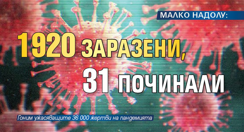 МАЛКО НАДОЛУ: 1920 заразени, 31 починали