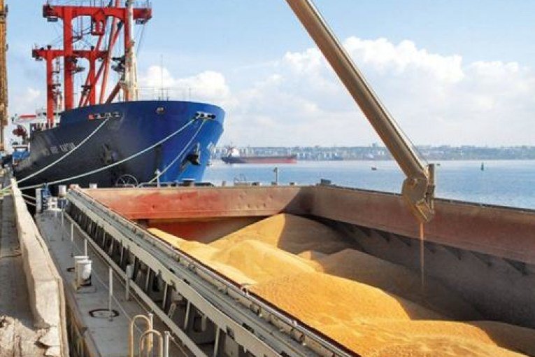 Започнаха денонощни проверки върху износа на зърнени и житни култури.