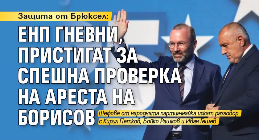 Защита от Брюксел: EНП гневни, пристигат за спешна проверка на ареста на Борисов 