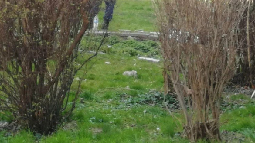 Какво става? Втори труп в Пловдив за ден