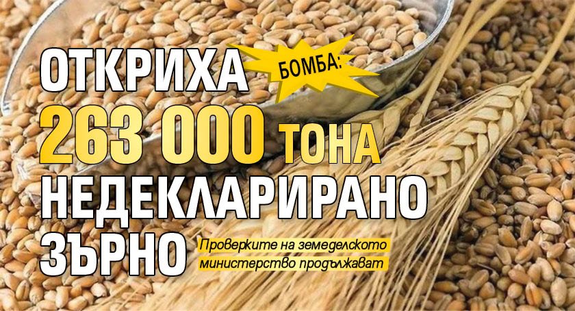 Бомба: Откриха 263 000 тона недекларирано зърно