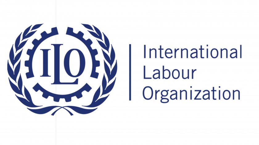 Международната организация на труда (МОТ) към ООН спира всякакво техническо