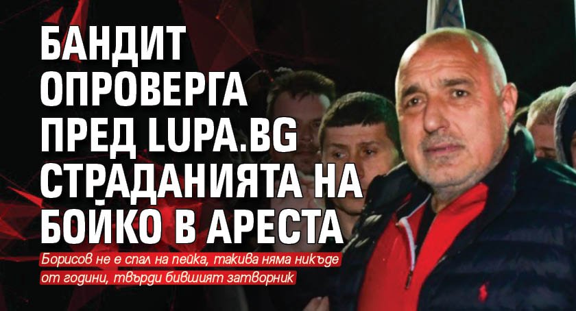 Бандит опроверга пред Lupa.bg страданията на Бойко в ареста
