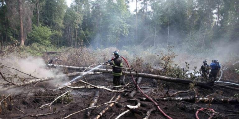 В забранената зона около АЕЦ Чернобил пламнаха няколко пожара, предаде