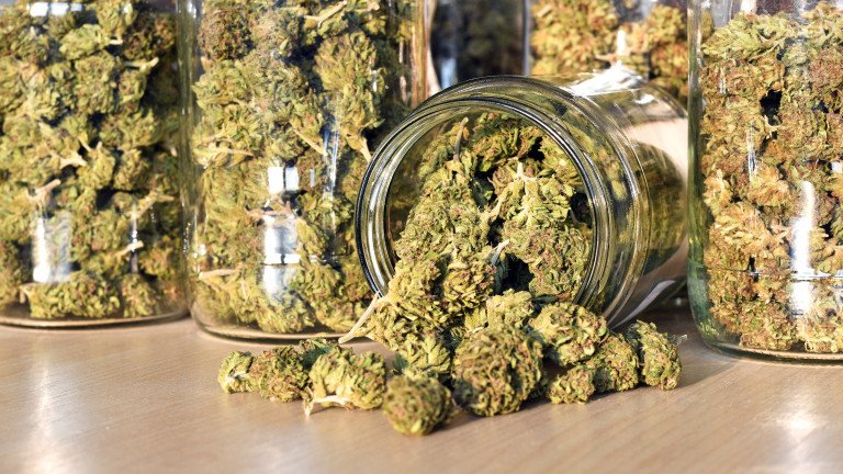От Агенция „Митници” отчитат бум на задържаната марихуана от миналата