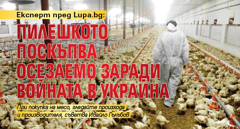 Експерт пред Lupa.bg: Пилешкото поскъпва осезаемо заради войната в Украйна