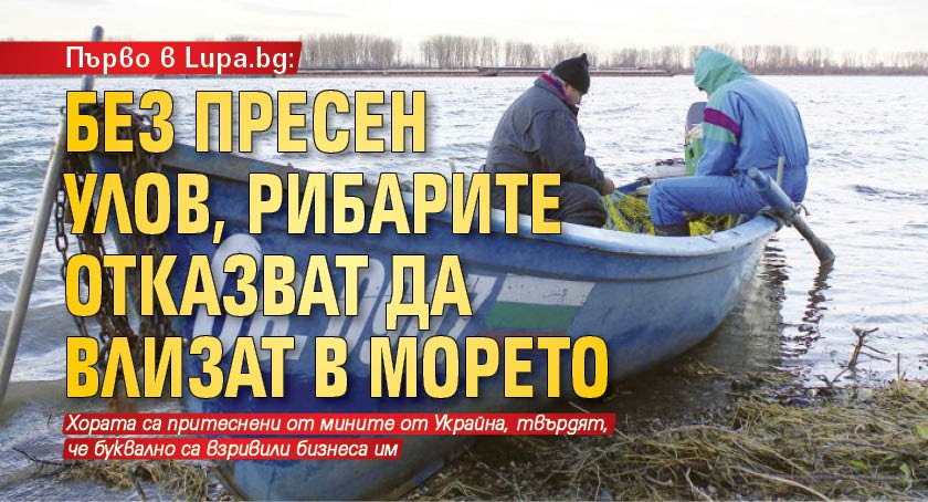 Първо в Lupa.bg: Без пресен улов, рибарите отказват да влизат в морето