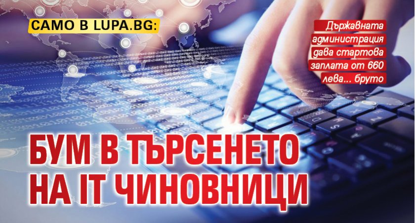 Само в Lupa.bg: Бум в търсенето на IT чиновници