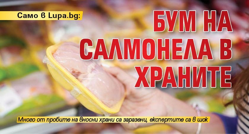 Само в Lupa.bg: Бум на салмонела в храните