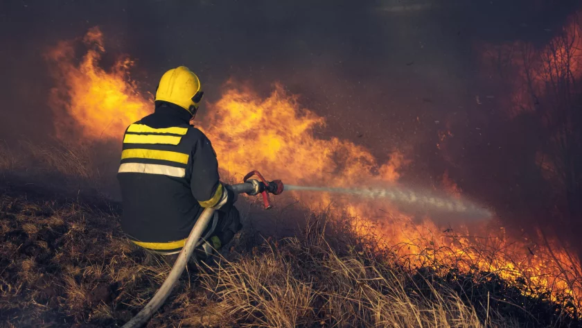 Пожар горя в труднодостъпната месност „Нивище” в Странджа. Огънят беше