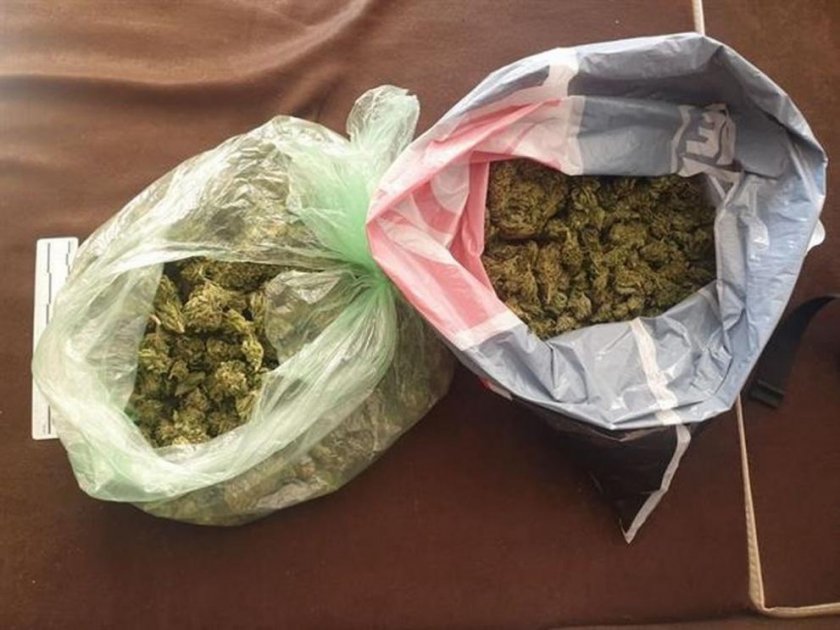 Иззеха около 70 грама марихуана и 20 растения от вида