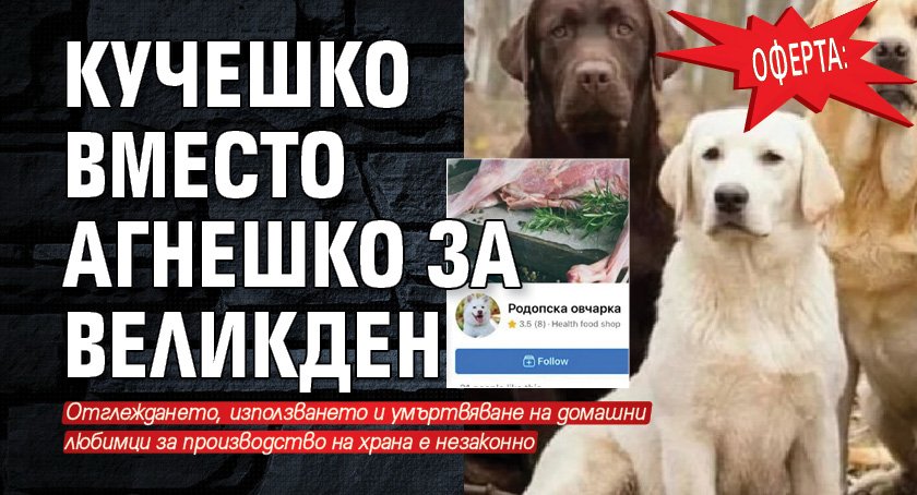 ОФЕРТА: Кучешко вместо агнешко за Великден