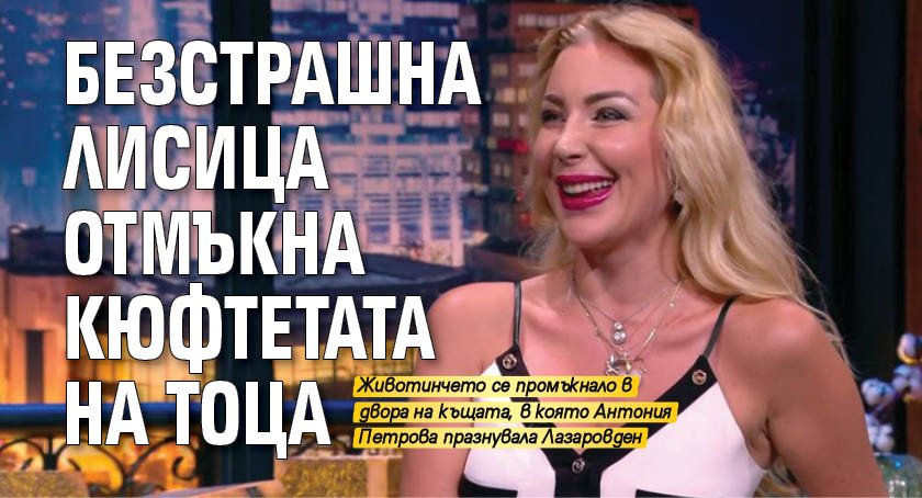 Безстрашна лисица отмъкна кюфтетата на Тоца