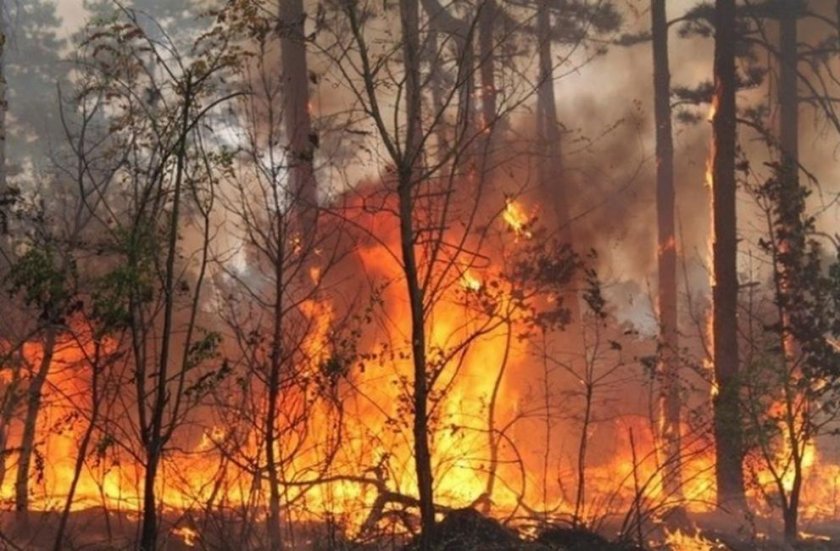 Извънредно положение в руския Красноярски край заради бушуващи пожари